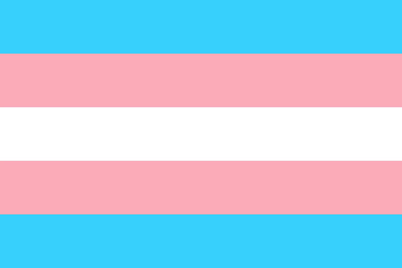 Selbstbestimmung transgeschlechtlicher Menschen stärken (Oktober 2022)